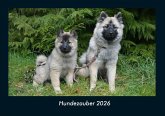 Hundezauber 2026 Fotokalender DIN A4