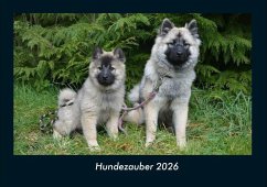 Cover Hundezauber 2026 Fotokalender DIN A4