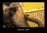 Elefanten 2026 Fotokalender DIN A3