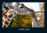 Giraffen 2026 Fotokalender DIN A4