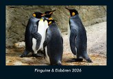 Pinguine & Eisbären 2026 Fotokalender DIN A4