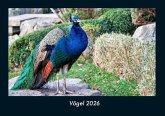 Vögel 2026 Fotokalender DIN A4
