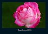Rosentraum 2026 Fotokalender DIN A4 - Bild 1
