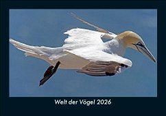 Cover Welt der Vögel 2026 Fotokalender DIN A5