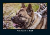 Hundezauber 2026 Fotokalender DIN A5