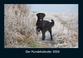 Der Hundekalender 2026 Fotokalender DIN A4