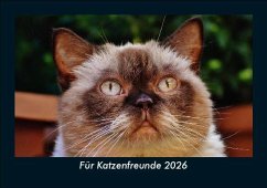 Cover Für Katzenfreunde 2026 Fotokalender DIN A5