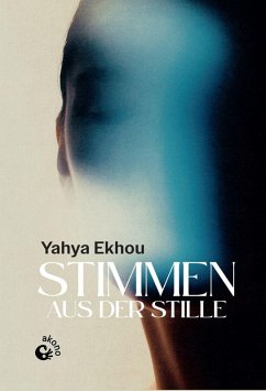 Cover Stimmen aus der Stille