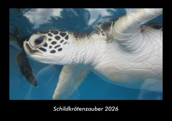 Schildkrötenzauber 2026 Fotokalender DIN A3 Schildkrötenzauber 2026 Fotokalender DIN A3