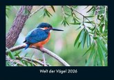 Welt der Vögel 2026 Fotokalender DIN A4