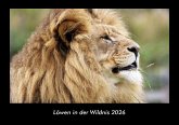 Löwen in der Wildnis 2026 Fotokalender DIN A3