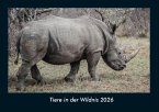 Tiere in der Wildnis 2026 Fotokalender DIN A4