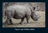 Tiere in der Wildnis 2026 Fotokalender DIN A4