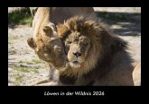 Löwen in der Wildnis 2026 Fotokalender DIN A3