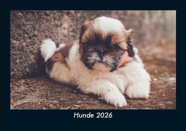 Hunde 2026 Fotokalender DIN A5