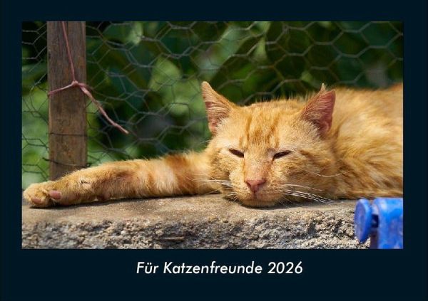 Für Katzenfreunde 2026 Fotokalender DIN A4 Für Katzenfreunde 2026 Fotokalender DIN A4