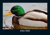 Enten 2026 Fotokalender DIN A5 Enten 2026 Fotokalender DIN A5