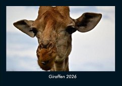 Cover Giraffen 2026 Fotokalender DIN A4