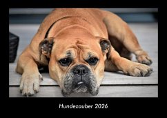Cover Hundezauber 2026 Fotokalender DIN A3