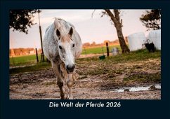 Cover Die Welt der Pferde 2026 Fotokalender DIN A5
