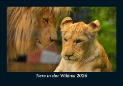 Cover Tiere in der Wildnis 2026 Fotokalender DIN A5
