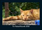 Für Katzenfreunde 2026 Fotokalender DIN A5