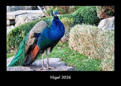 Vögel 2026 Fotokalender DIN A3 - Tobias Becker