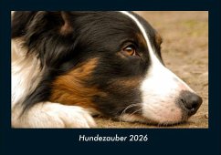 Cover Hundezauber 2026 Fotokalender DIN A4