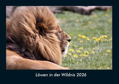 Löwen in der Wildnis 2026 Fotokalender DIN A4 Cover Löwen in der Wildnis 2026 Fotokalender DIN A4