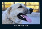 Welt der Tiere 2026 Fotokalender DIN A5