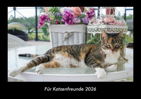Für Katzenfreunde 2026 Fotokalender DIN A3
