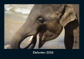 Elefanten 2026 Fotokalender DIN A4 Elefanten 2026 Fotokalender DIN A4
