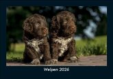 Welpen 2026 Fotokalender DIN A5 Welpen 2026 Fotokalender DIN A5