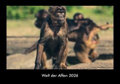 Cover Welt der Affen 2026 Fotokalender DIN A3