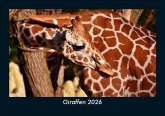 Giraffen 2026 Fotokalender DIN A5 Giraffen 2026 Fotokalender DIN A5