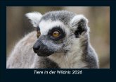 Tiere in der Wildnis 2026 Fotokalender DIN A5