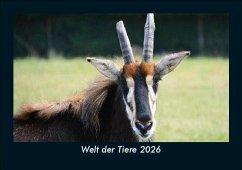 Cover Welt der Tiere 2026 Fotokalender DIN A5