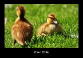 Enten 2026 Fotokalender DIN A3