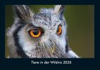 Tiere in der Wildnis 2026 Fotokalender DIN A4