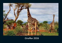 Cover Giraffen 2026 Fotokalender DIN A4