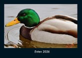Enten 2026 Fotokalender DIN A4 Enten 2026 Fotokalender DIN A4