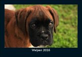 Welpen 2026 Fotokalender DIN A5 Welpen 2026 Fotokalender DIN A5