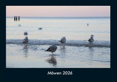 Möwen 2026 Fotokalender DIN A4 - Tobias Becker