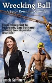 Wrecking Ball (eBook, ePUB)