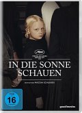 In Die Sonne Schauen In Die Sonne Schauen