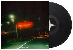 And I'D Do It Again (Lp) Cover And I'D Do It Again (Lp)