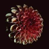 Unfolding Unfolding