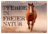 Pferde in freier Natur (Tischkalender... - Bild 1