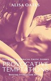 Provocative Temptations (eBook, ePUB)