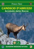 Camoscio d'Abruzzo. Acrobata delle rocce Camoscio d'Abruzzo. Acrobata delle rocce